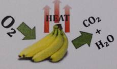 C:Documents and SettingsAdministratorApplication DataTencentUsersP5625402QQWinTempRichOleEJ9SC(A%KB3@~VBAMK@0RLY.png